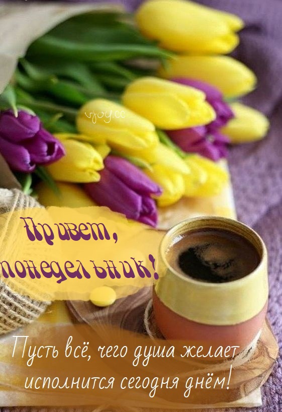 Хостинг картинок yapx.ru