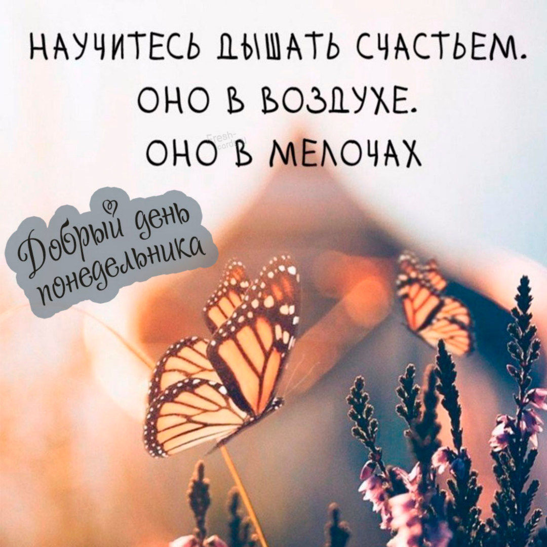 Хостинг картинок yapx.ru