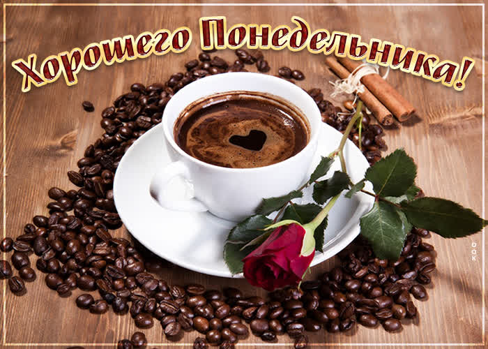 Хостинг картинок yapx.ru