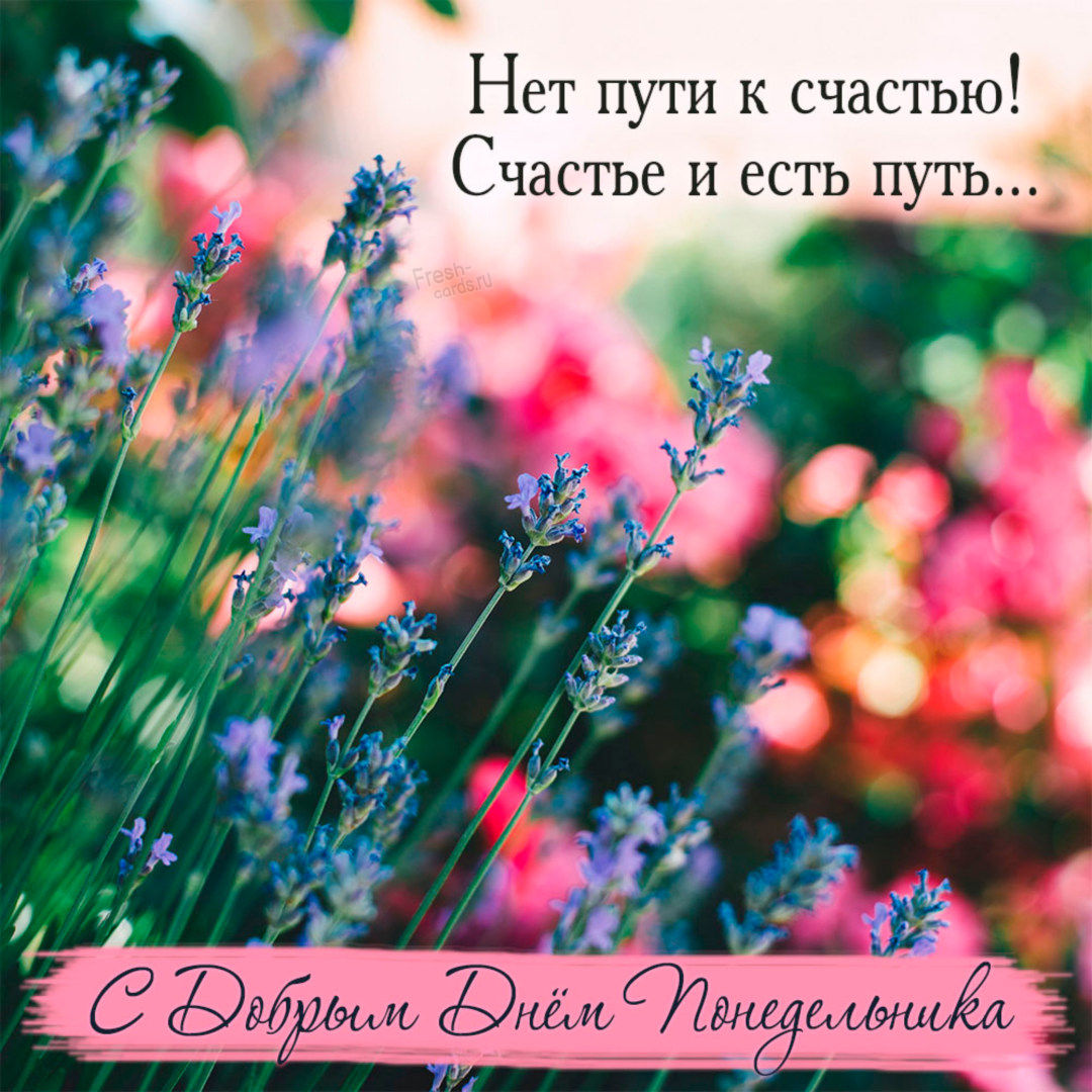 Хостинг картинок yapx.ru