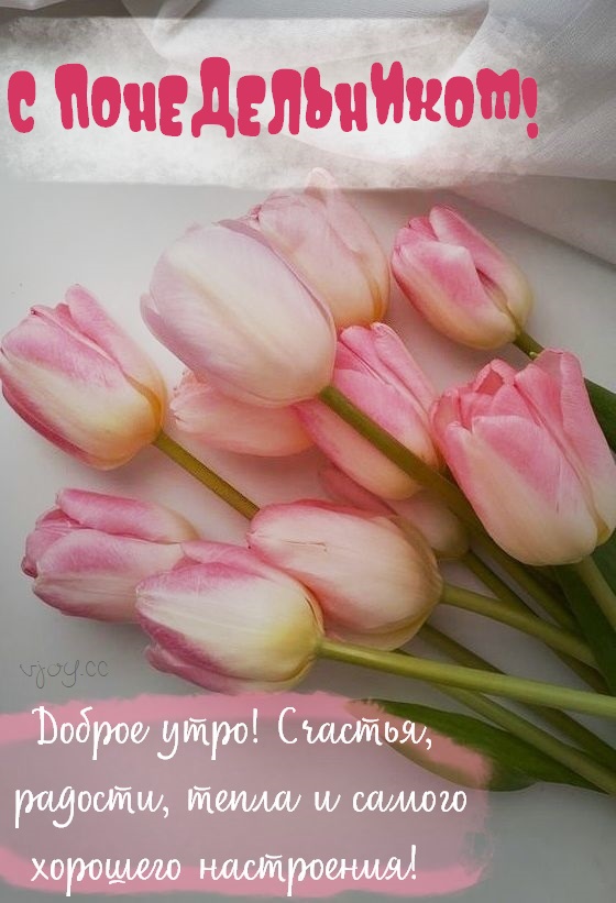 Хостинг картинок yapx.ru