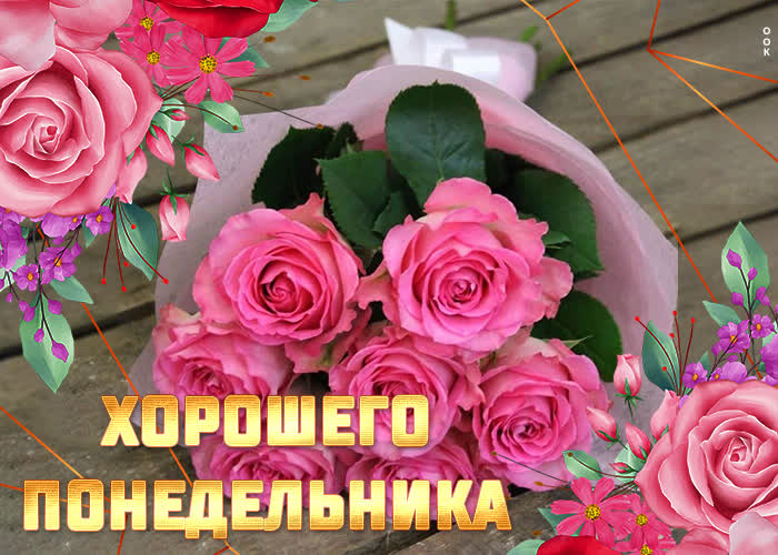 Хостинг картинок yapx.ru