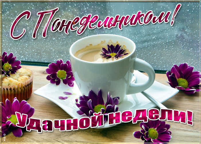 Хостинг картинок yapx.ru