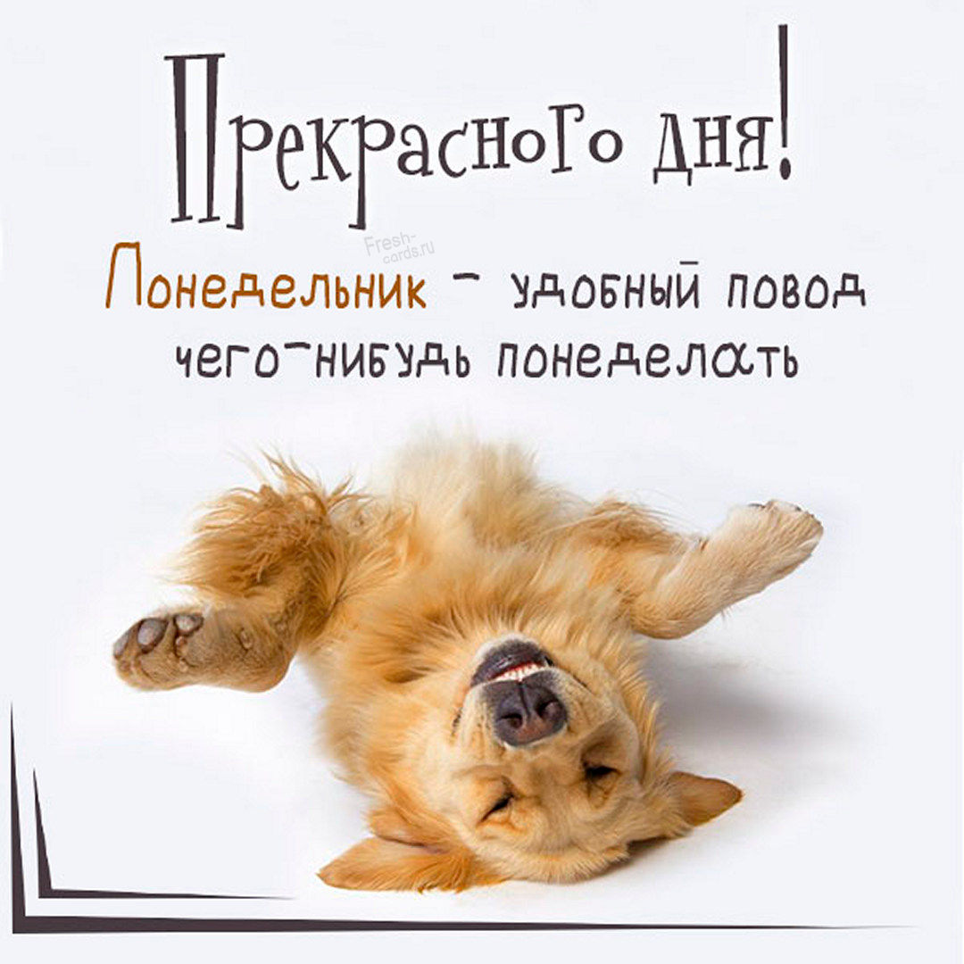 Хостинг картинок yapx.ru