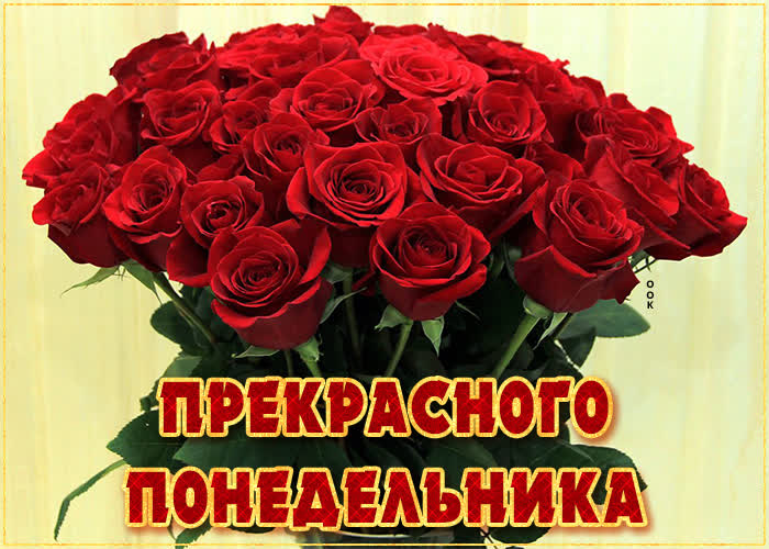 Хостинг картинок yapx.ru