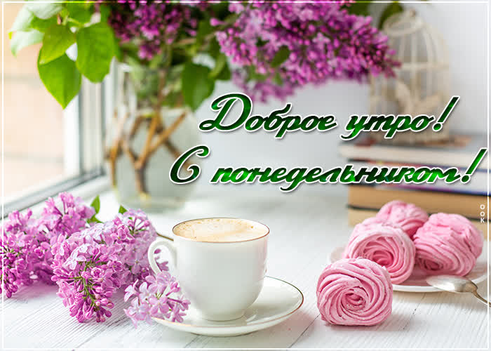 Хостинг картинок yapx.ru