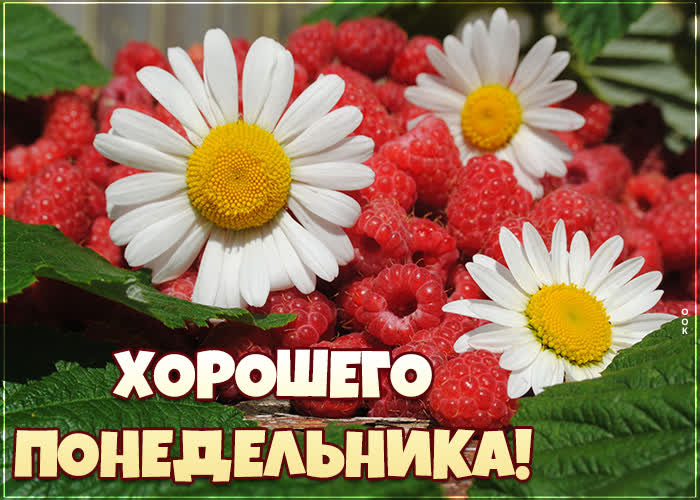 Хостинг картинок yapx.ru