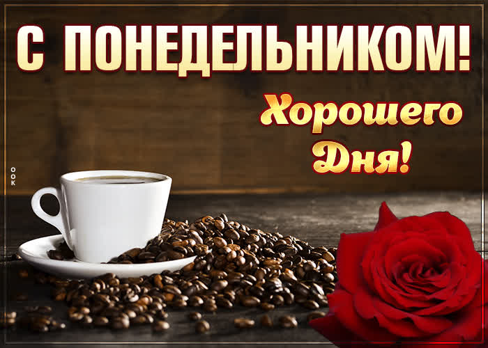 Хостинг картинок yapx.ru