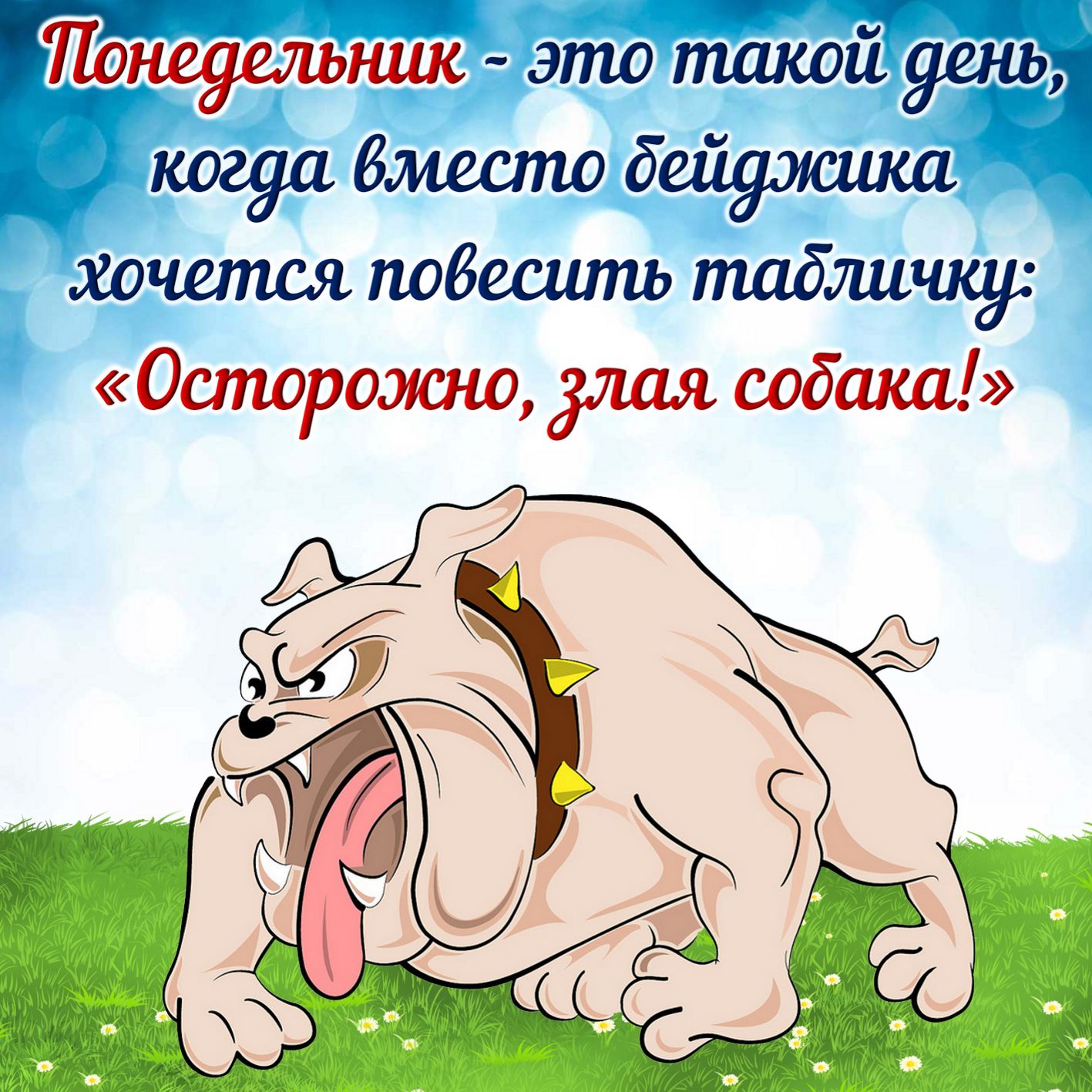 Хостинг картинок yapx.ru