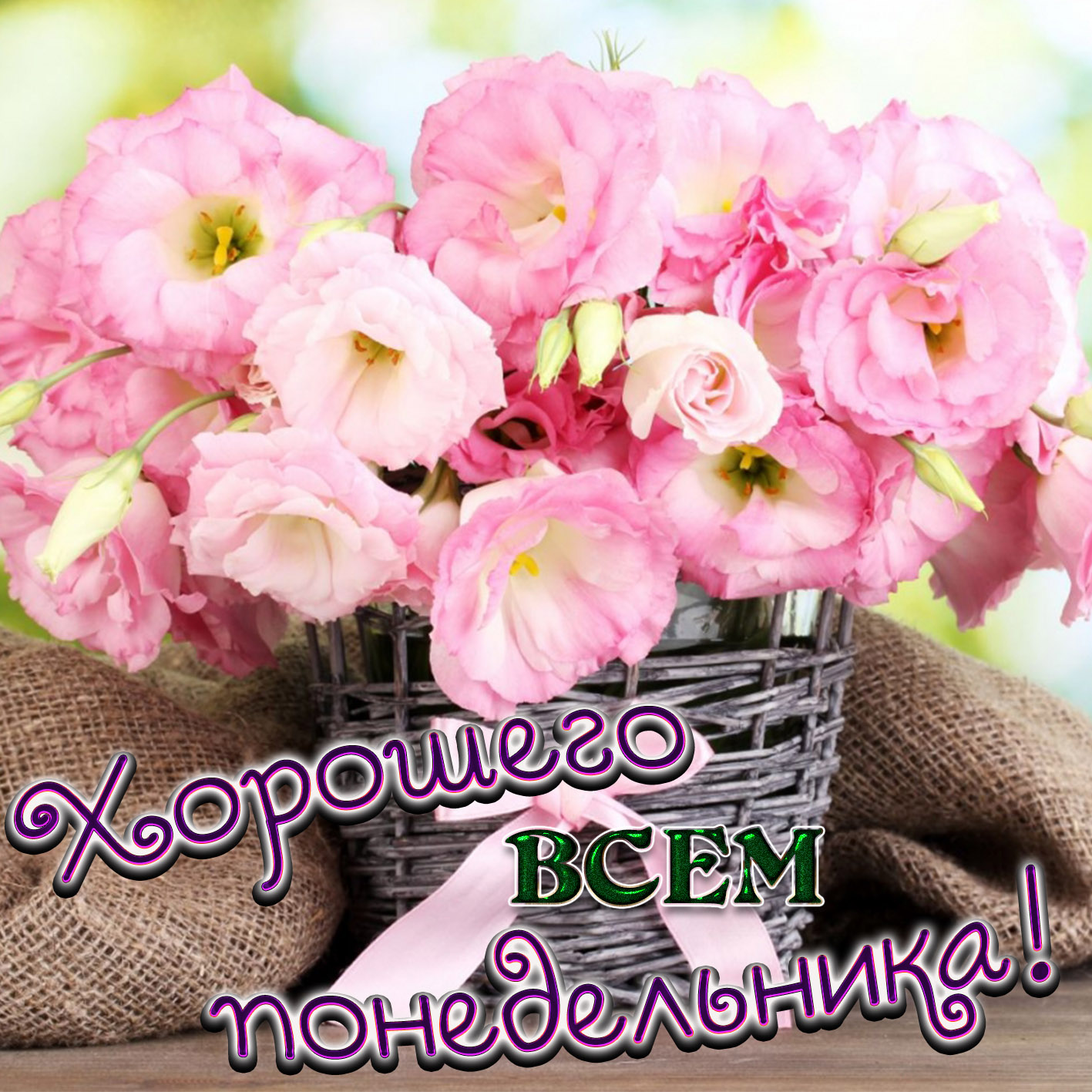 Хостинг картинок yapx.ru