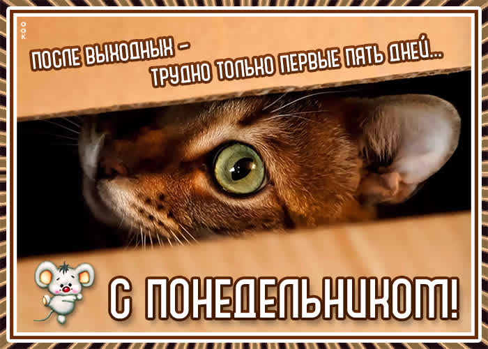 Хостинг картинок yapx.ru