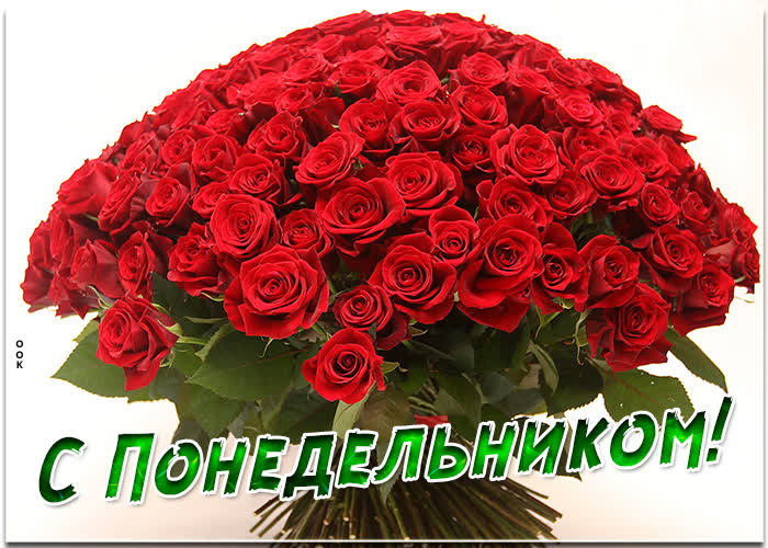 Хостинг картинок yapx.ru