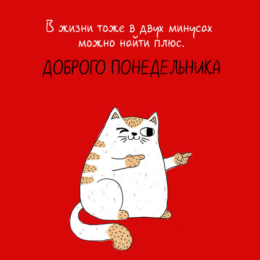 Хостинг картинок yapx.ru