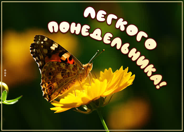 Хостинг картинок yapx.ru