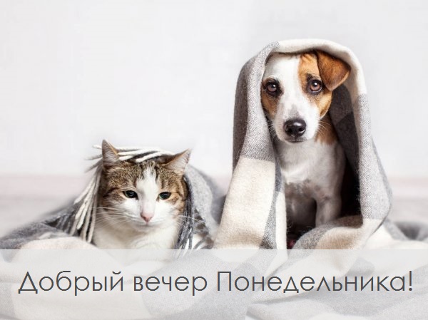 Хостинг картинок yapx.ru