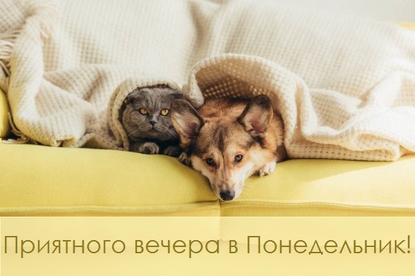 Хостинг картинок yapx.ru