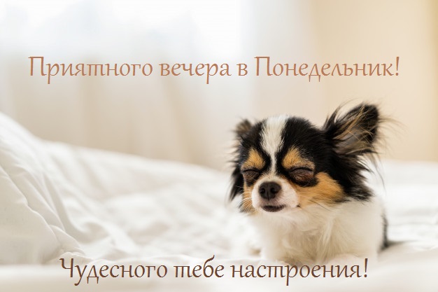 Хостинг картинок yapx.ru