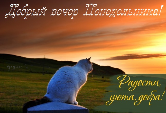 Хостинг картинок yapx.ru