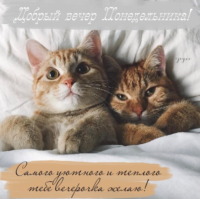 Хостинг картинок yapx.ru