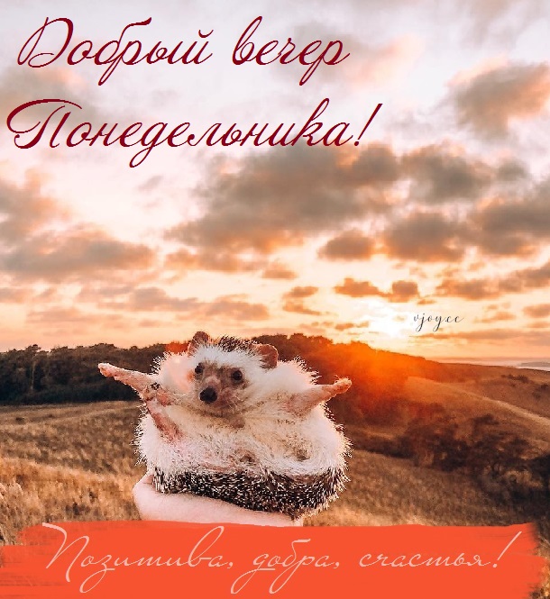 Хостинг картинок yapx.ru