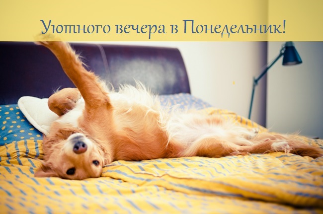 Хостинг картинок yapx.ru