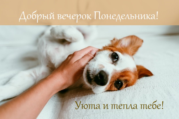 Хостинг картинок yapx.ru