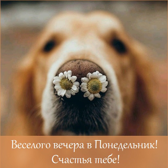 Хостинг картинок yapx.ru