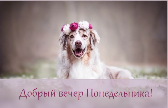 Хостинг картинок yapx.ru