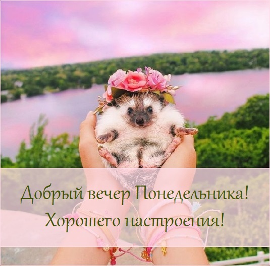 Хостинг картинок yapx.ru