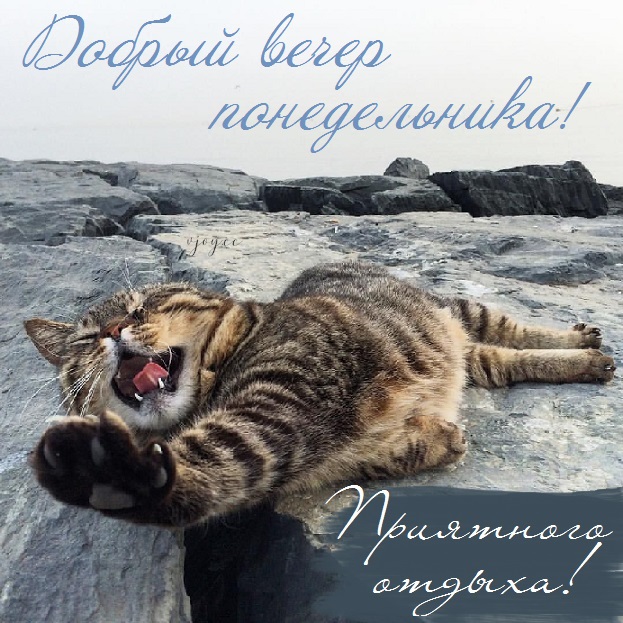 Хостинг картинок yapx.ru