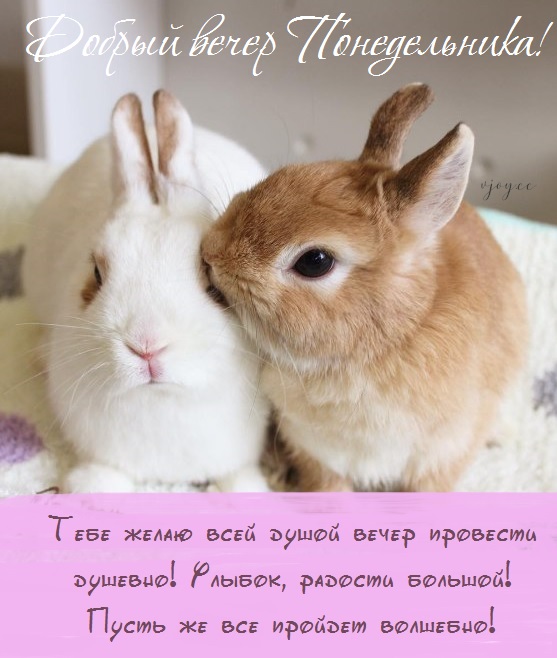 Хостинг картинок yapx.ru