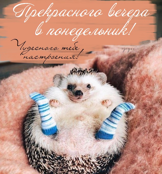 Хостинг картинок yapx.ru