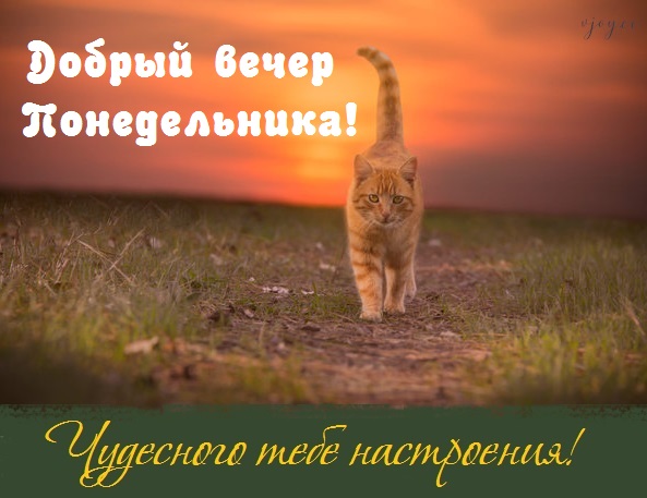 Хостинг картинок yapx.ru