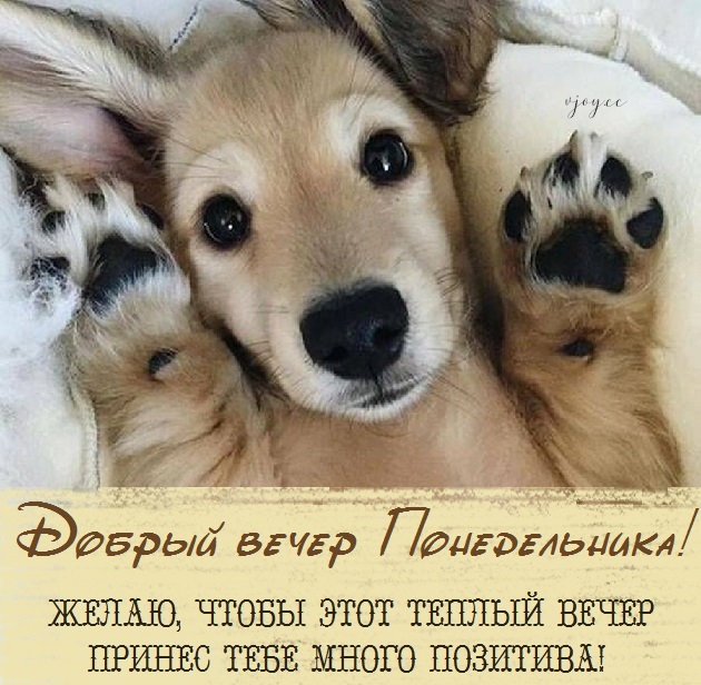 Хостинг картинок yapx.ru