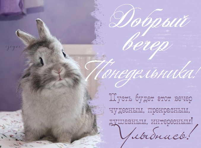 Хостинг картинок yapx.ru