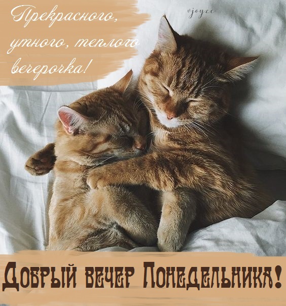 Хостинг картинок yapx.ru