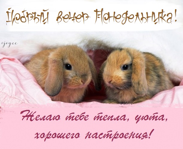 Хостинг картинок yapx.ru