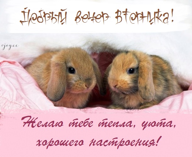 Пожелания доброго вечера вторника бесплатно