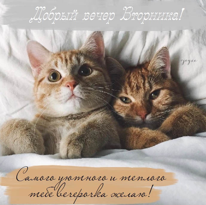 Хостинг картинок yapx.ru