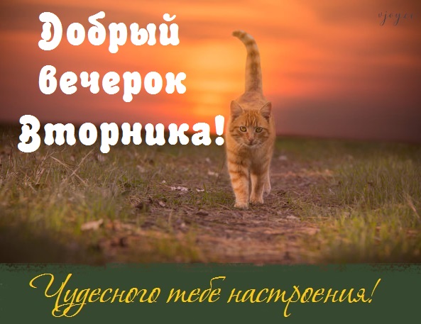 Хостинг картинок yapx.ru