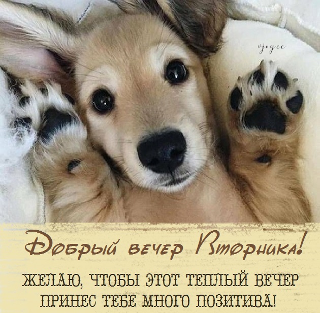 Хостинг картинок yapx.ru