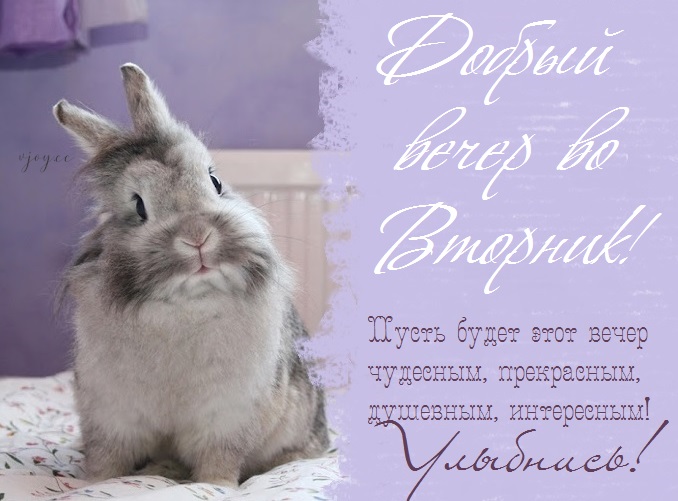 Хостинг картинок yapx.ru