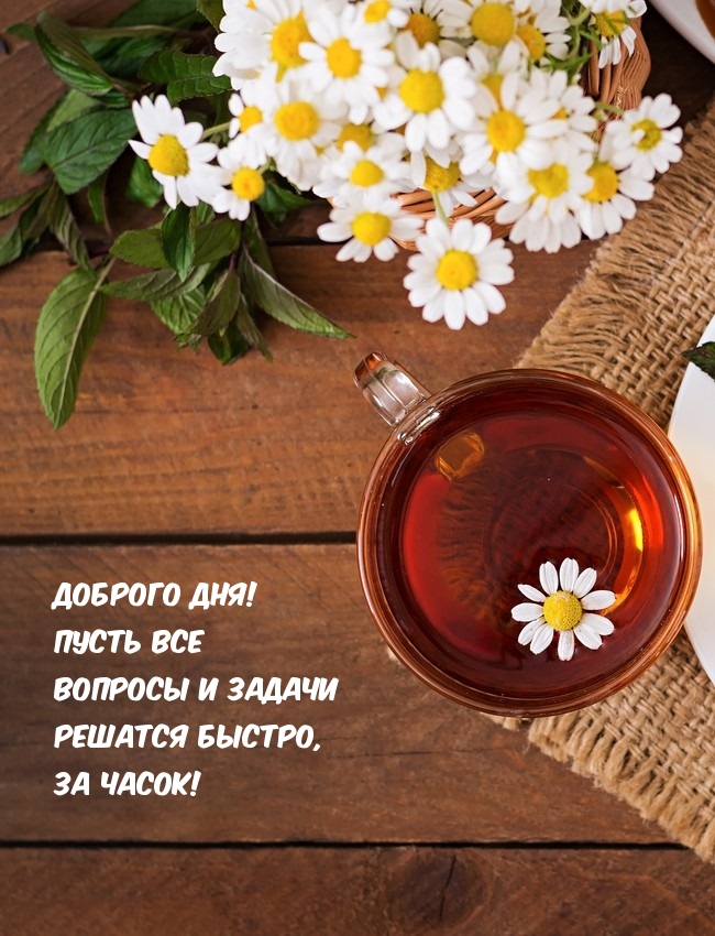 Отличного дня, позитивного настроения, счастья. Отличного дня, позитивного настроения, счастья.