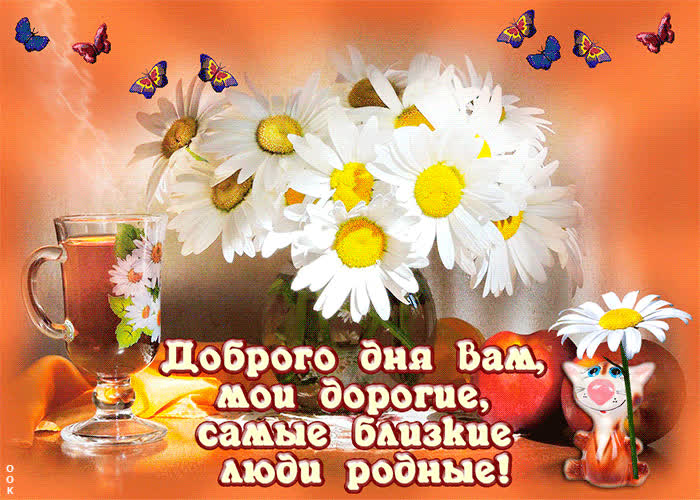 Доброе пожелание уютного дня на фоне цветов. Доброе пожелание уютного дня на фоне цветов.