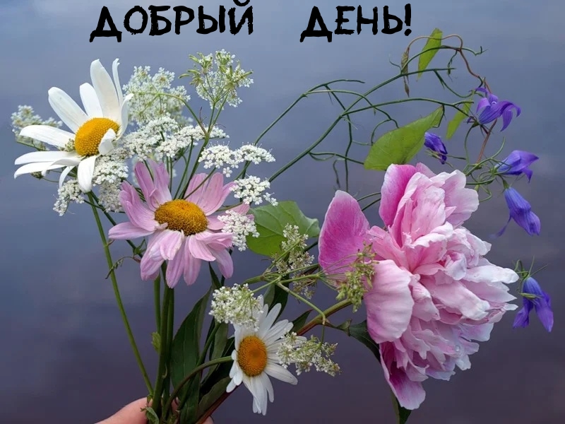 Милая картинка доброго дня с пожеланием и цветочками. Милая картинка доброго дня с пожеланием и цветочками.