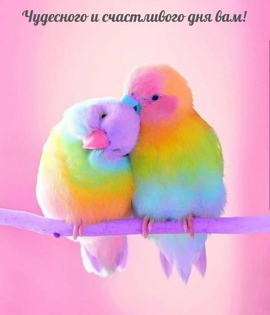 Открытка - желаю удачного и светлого дня. Открытка - желаю удачного и светлого дня.