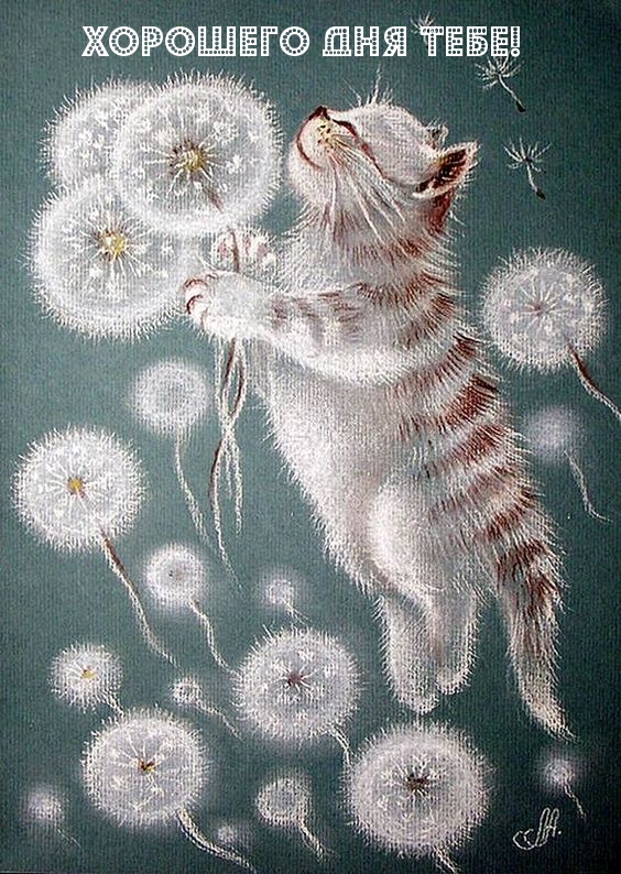 Картинка доброго дня и хорошей погоды Картинка доброго дня и хорошей погоды