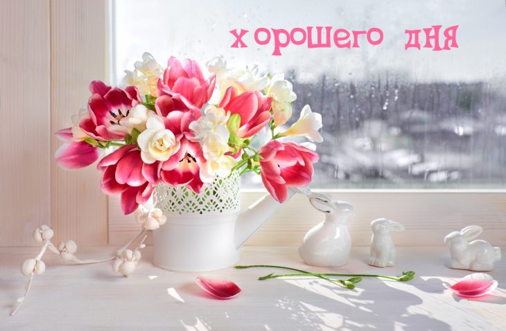 Доброго денёчка и отличных новостей на фоне цветов. Доброго денёчка и отличных новостей на фоне цветов.