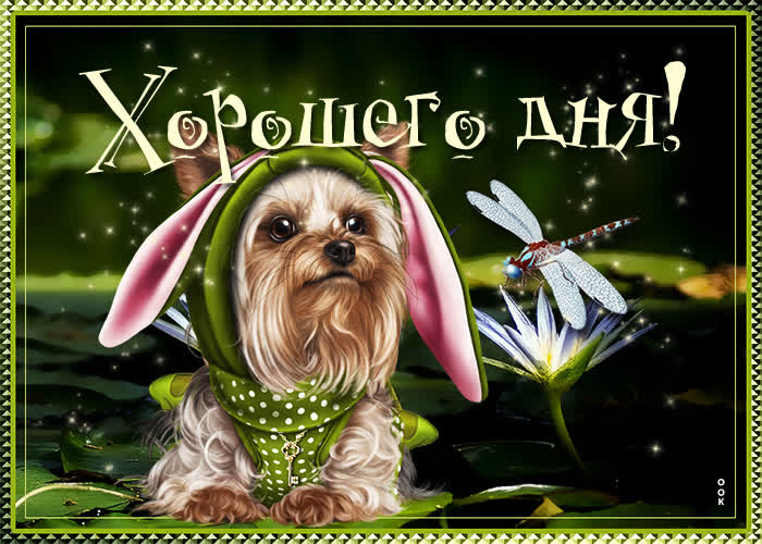 Хостинг картинок yapx.ru