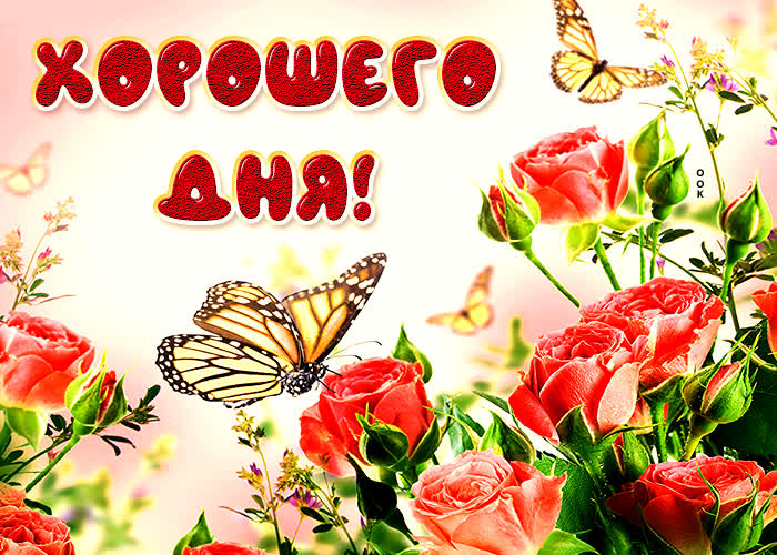 Хостинг картинок yapx.ru